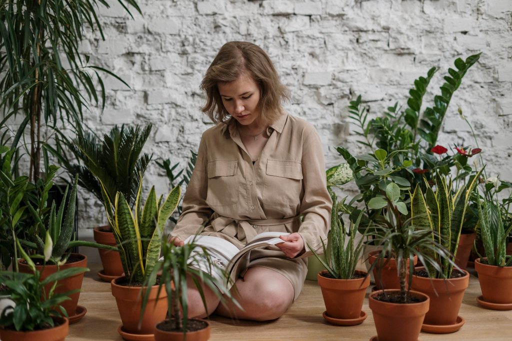 How to take care of Plants