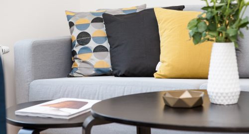 How to maintain house all the time